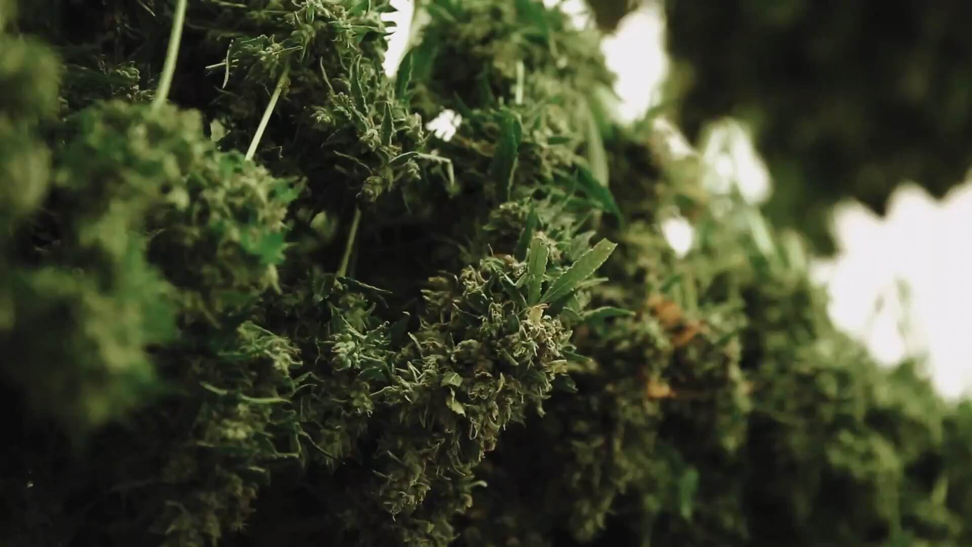 GrowTour_22.jpeg