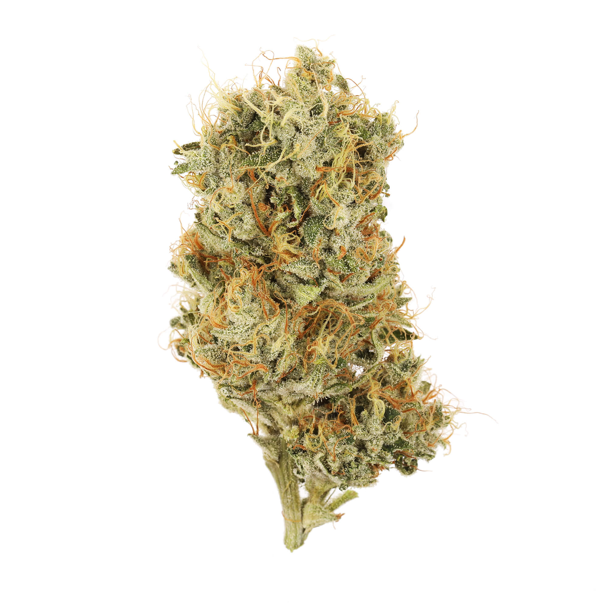 Super Sour Lemon Strain - Cannabis Flower Sativa | Seed & Smith